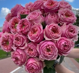 Букет из 25 роз ПИНК МОНСТР с лентой Букет из 25 роз ПИНК МОНСТР с лентой